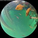 ./images/calvert/underwater/20260521/underwater20260521_193002M.jpg