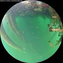 ./images/calvert/underwater/20260521/underwater20260521_193501M.jpg
