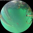 ./images/calvert/underwater/20260521/underwater20260521_194001M.jpg