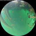 ./images/calvert/underwater/20260521/underwater20260521_195001M.jpg