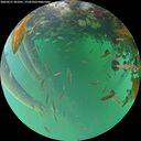 ./images/calvert/underwater/20260521/underwater20260521_201001M.jpg