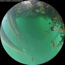 ./images/calvert/underwater/20260521/underwater20260521_202001M.jpg