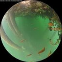 ./images/calvert/underwater/20260521/underwater20260521_202502M.jpg