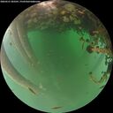 ./images/calvert/underwater/20260521/underwater20260521_203501M.jpg