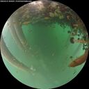 ./images/calvert/underwater/20260521/underwater20260521_205001M.jpg
