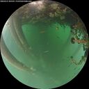 ./images/calvert/underwater/20260521/underwater20260521_205501M.jpg
