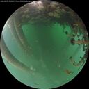 ./images/calvert/underwater/20260521/underwater20260521_210001M.jpg