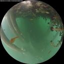 ./images/calvert/underwater/20260521/underwater20260521_211001M.jpg