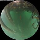 ./images/calvert/underwater/20260521/underwater20260521_211501M.jpg