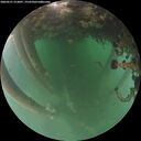 ./images/calvert/underwater/20260521/underwater20260521_212001M.jpg