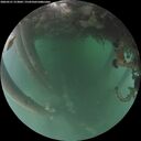 ./images/calvert/underwater/20260521/underwater20260521_213001M.jpg