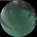 ./images/calvert/underwater/20260521/underwater20260521_213502M.jpg