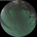 ./images/calvert/underwater/20260521/underwater20260521_214001M.jpg