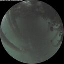 ./images/calvert/underwater/20260521/underwater20260521_215001M.jpg