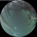 ./images/calvert/underwater/20260522/underwater20260522_052001M.jpg