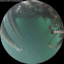 ./images/calvert/underwater/20260522/underwater20260522_053002M.jpg