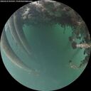 ./images/calvert/underwater/20260522/underwater20260522_053501M.jpg