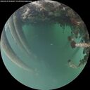 ./images/calvert/underwater/20260522/underwater20260522_054001M.jpg