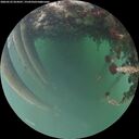 ./images/calvert/underwater/20260522/underwater20260522_054501M.jpg