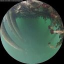 ./images/calvert/underwater/20260522/underwater20260522_055002M.jpg