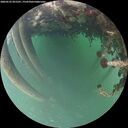./images/calvert/underwater/20260522/underwater20260522_055501M.jpg