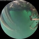 ./images/calvert/underwater/20260522/underwater20260522_060001M.jpg