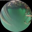 ./images/calvert/underwater/20260522/underwater20260522_060501M.jpg