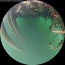 ./images/calvert/underwater/20260522/underwater20260522_061002M.jpg