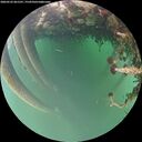 ./images/calvert/underwater/20260522/underwater20260522_061501M.jpg