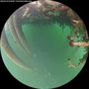 ./images/calvert/underwater/20260522/underwater20260522_062001M.jpg