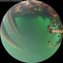./images/calvert/underwater/20260522/underwater20260522_062501M.jpg