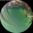 ./images/calvert/underwater/20260522/underwater20260522_063002M.jpg