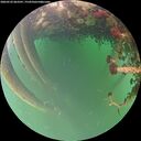 ./images/calvert/underwater/20260522/underwater20260522_063501M.jpg