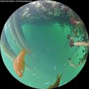 ./images/calvert/underwater/20260522/underwater20260522_064001M.jpg