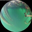 ./images/calvert/underwater/20260522/underwater20260522_064502M.jpg