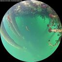 ./images/calvert/underwater/20260522/underwater20260522_071001M.jpg