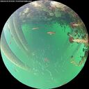 ./images/calvert/underwater/20260522/underwater20260522_072502M.jpg