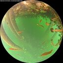 ./images/calvert/underwater/20260522/underwater20260522_074501M.jpg