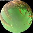./images/calvert/underwater/20260522/underwater20260522_082501M.jpg