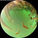 ./images/calvert/underwater/20260522/underwater20260522_084001M.jpg