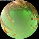 ./images/calvert/underwater/20260522/underwater20260522_085002M.jpg