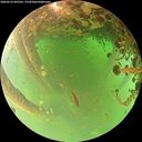 ./images/calvert/underwater/20260522/underwater20260522_092501M.jpg