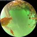 ./images/calvert/underwater/20260522/underwater20260522_094501M.jpg