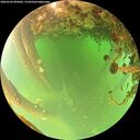 ./images/calvert/underwater/20260522/underwater20260522_095002M.jpg