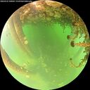 ./images/calvert/underwater/20260522/underwater20260522_100001M.jpg