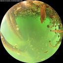 ./images/calvert/underwater/20260522/underwater20260522_101001M.jpg