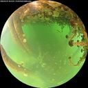 ./images/calvert/underwater/20260522/underwater20260522_101501M.jpg