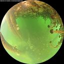 ./images/calvert/underwater/20260522/underwater20260522_102001M.jpg