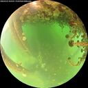 ./images/calvert/underwater/20260522/underwater20260522_102501M.jpg