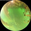 ./images/calvert/underwater/20260522/underwater20260522_103501M.jpg